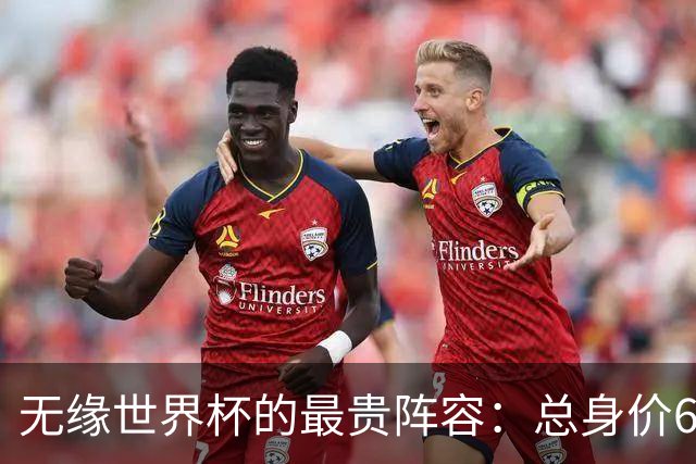 无缘世界杯的最贵阵容：总身价6.7亿 意大利5人